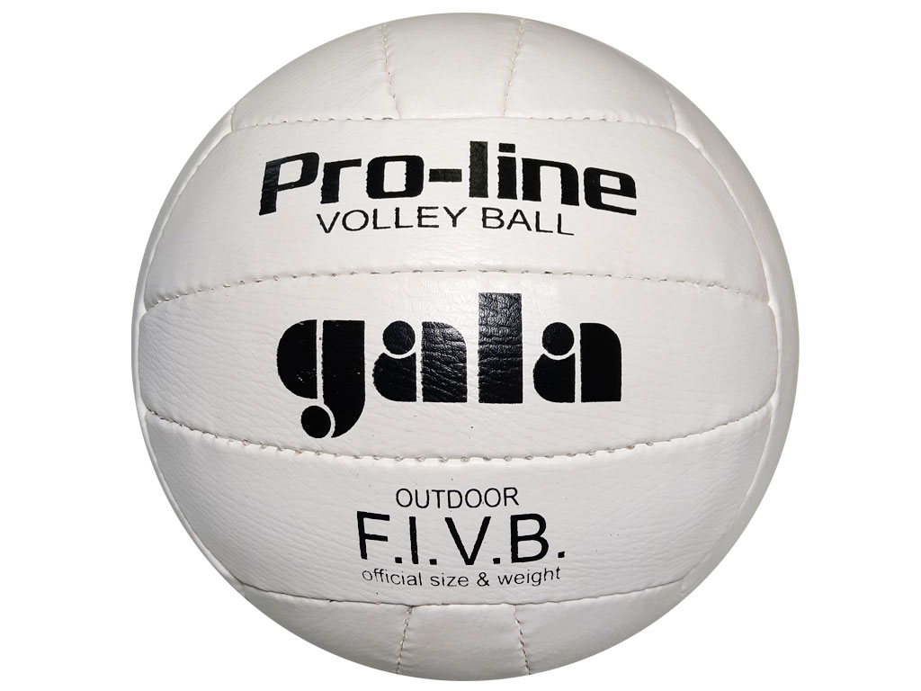 Волейбольный мяч GALA