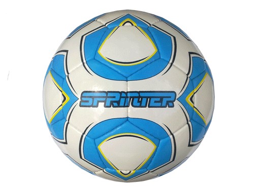 Мяч футзальный SPRINTER , пресскожа с полимерным покрытием., без отскока :(12313):