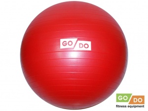 Мяч для фитнеса матовый d - 55 см GO DO :FB-55  купить оптом у поставщика sprinter-opt.ru