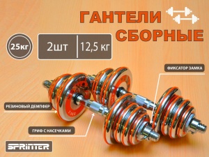 Гантели сборные 2 шт по 12,5 кг HA2-DD25 купить оптом у поставщика sprinter-opt.ru
